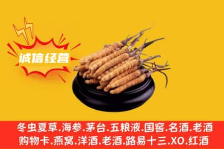 开封顺河区回收冬虫夏草